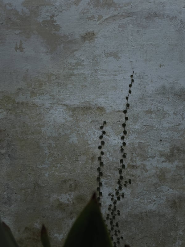 2024.03.02 14:46